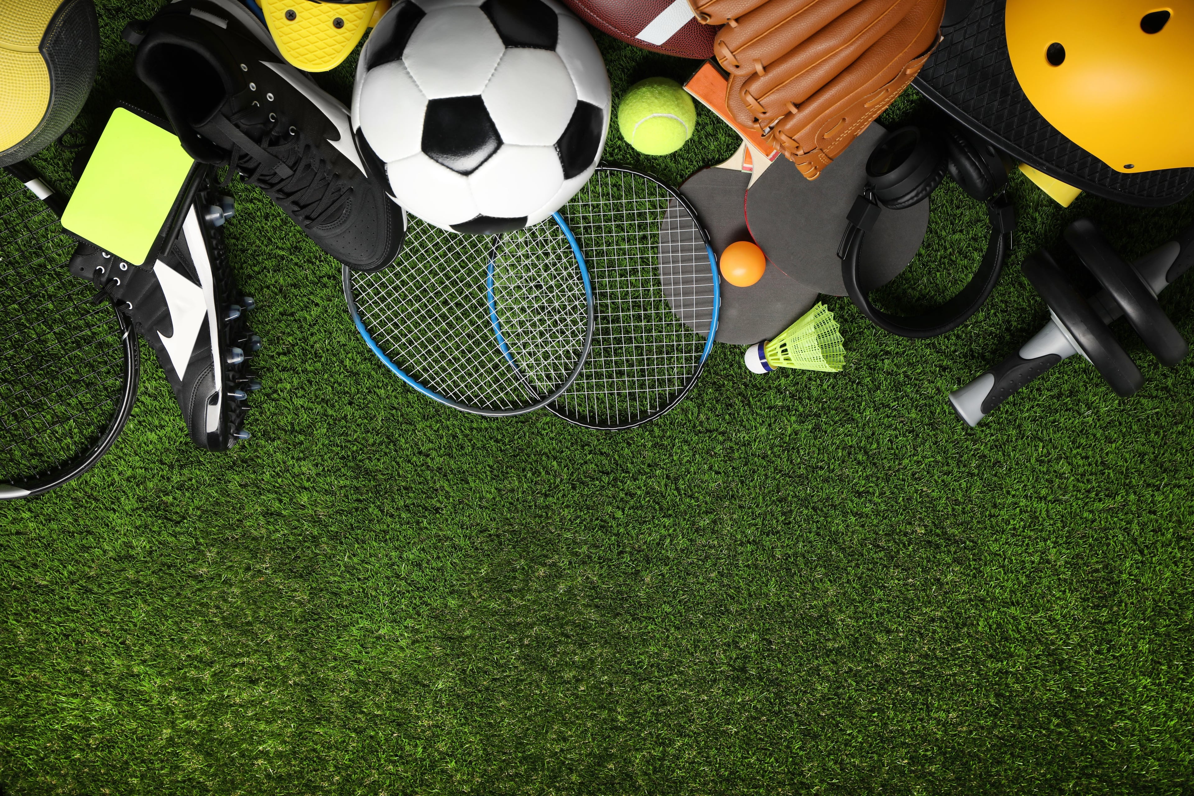 Animation sportive